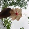 jahidulsuniya