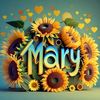 user132420608615ma