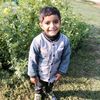 subhantanveer33