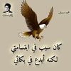 user8462525060012