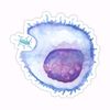 lurcocyte