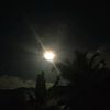 _fren0821