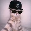 the_sathsara01