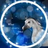 bluestarsinc