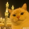 adelyasnfd_