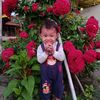 riyaniyani683