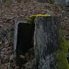 mareklamiar