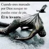 david.zandes