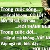 phamhie351