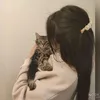cookie96422