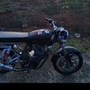 shaukii523