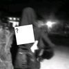 nniavfav0.0