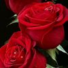 user62318305501602