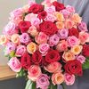renaveliyeva_779