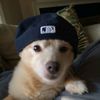 pubabyboy