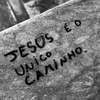jezielwic