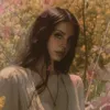 ___ultraviolence__