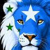 aarka.mudug65