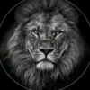 alan_lak1