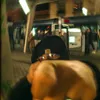 pollen_65