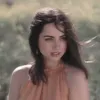 sf_356r