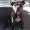ginabee60