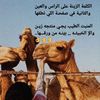 alotaibi511_11