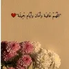 user20797688749227