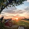 yoxzzy_44