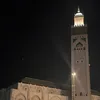 salwamounjib