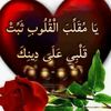 user505909572167