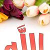 assiasakri7