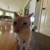 noah_07007