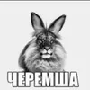 hoperful_