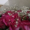 user8651619340556