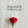 hala36132