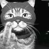 user594665515415