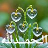 user1119796813596