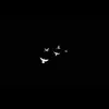 no.r_n5