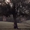 .ram13o_