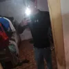 _felii_010