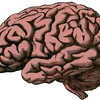 brilhantementes