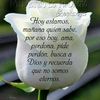 user2222261099244