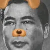 vi.le50