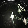 thefishkeeper2.0