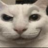 evilmattheww