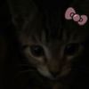 qinwixx