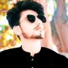 sharkhanking777