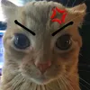 hixxhiz
