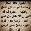 user81715092992076